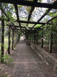 Footpath amidst trees in park