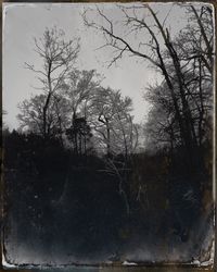 Bare trees against sky during winter