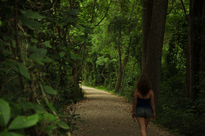 Rear view of woman walking on footpath amidst trees in forest