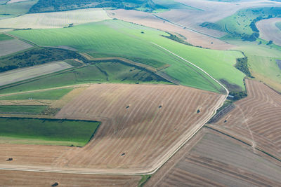 Aerial view of agricultural field