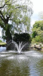 River flowing through rocks