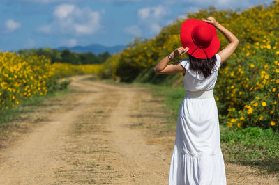 Rear view of woman standing on field during sunny day