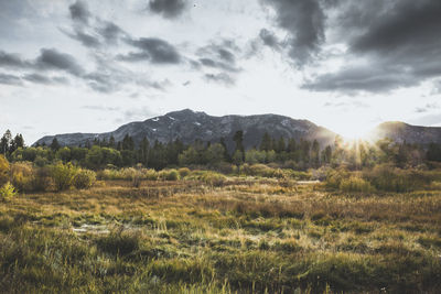 Scenic view of field and mountains against sky