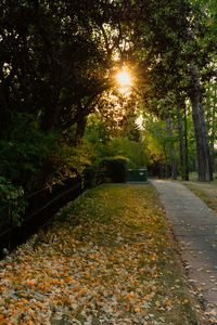 Footpath amidst trees in park during autumn