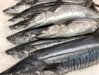 Close-up of fish for sale in market