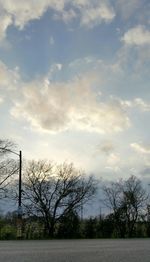 Bare trees on field against cloudy sky