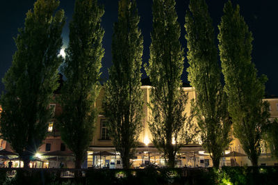 Illuminated street amidst trees and buildings at night