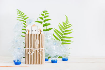 Close-up of plant on table against white background