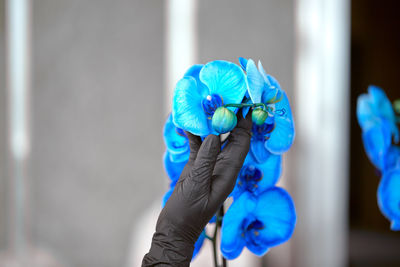 Person holding blue umbrella