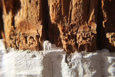 Close-up of icicles on rock in cave