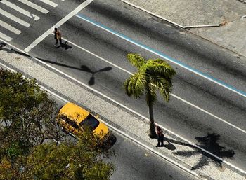 People walking on road