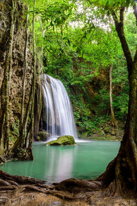 Scenic view of waterfall in forest