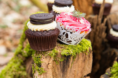 Close-up of chocolate cake