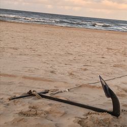 Bird perching on sand at beach against sky