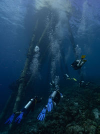 View of people diving in sea