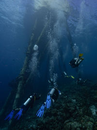 People swimming in sea