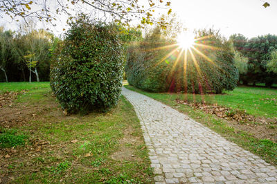 Walkway amidst grass against sky