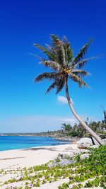 Scenic view of sea against blue sky