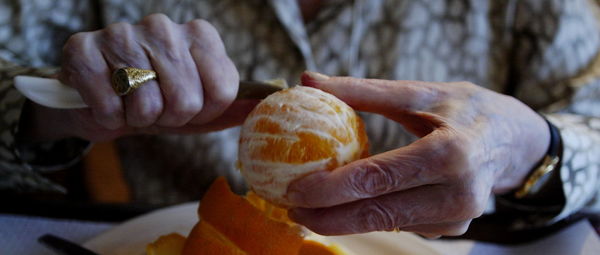 Close-up of hand holding fruit