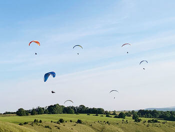 Flock of birds flying over field against sky