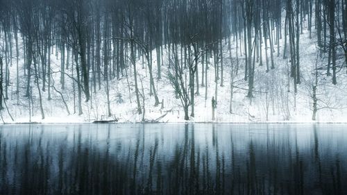 Scenic view of lake in forest during winter