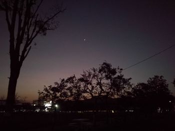 Low angle view of silhouette trees against sky at night