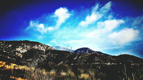 Low angle view of silhouette trees against sky at night