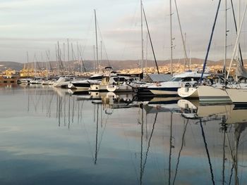 Sailboats moored in harbor