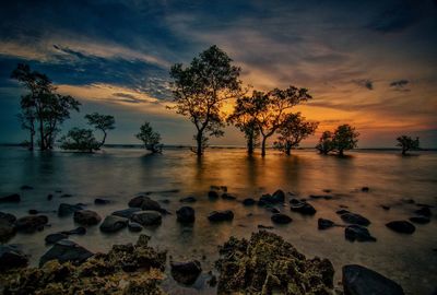 Scenic view of sea against sky during sunset