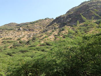 Scenic view of mountains against clear sky