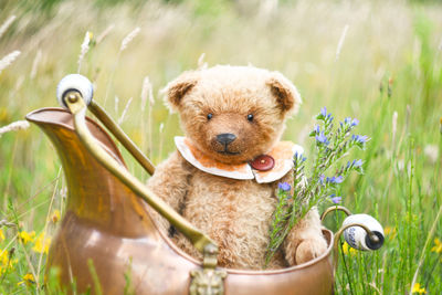 A small adorable brown teddy bear sits in a copper pot among a field of flowers,