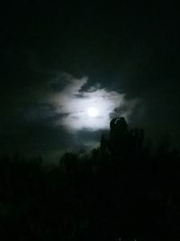 Low angle view of silhouette trees against sky at night