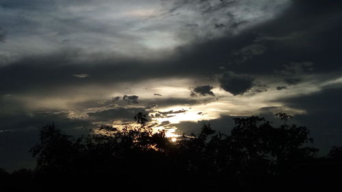 Low angle view of silhouette trees against sky at sunset