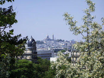 Trees and buildings against sky