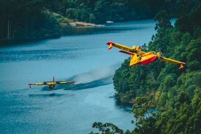 Scenic view of river amidst trees