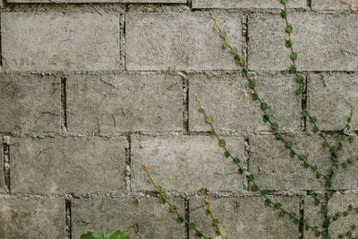 Full frame shot of weathered wall