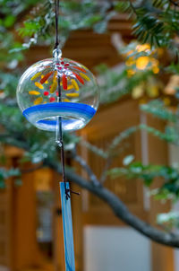 Close-up of multi colored lights hanging from glass