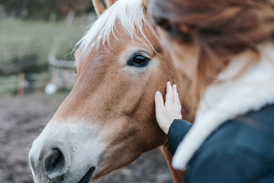 Red hair girl strokes red horse