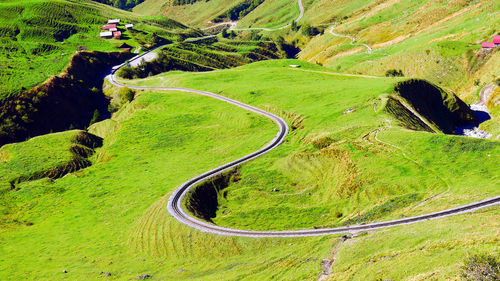 High angle view of green landscape