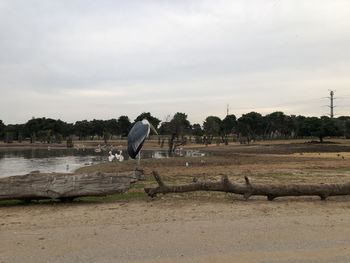 Man on field against sky