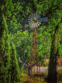 Trees on landscape