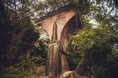 Low angle view of arch bridge amidst trees in forest