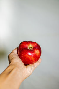 Close-up of hand holding apple