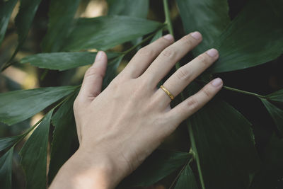 Close-up of hand by plant