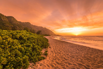 Scenic view of beach against sky during sunset