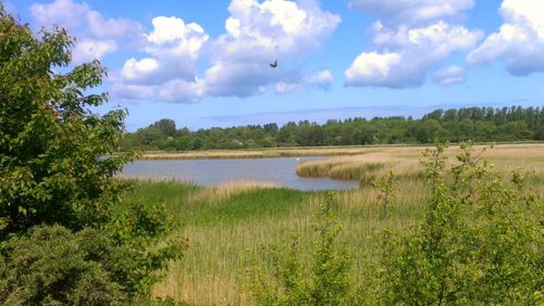 Scenic view of lake against cloudy sky