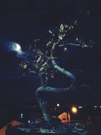 Close-up of illuminated tree at night
