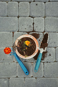 Gardener replanting a plant into a new pot. top view of pot with flower. using tools rake and shovel