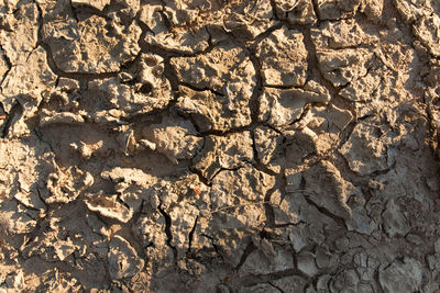 Full frame shot of cracked land