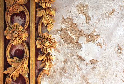 High angle view of white flowers on wall